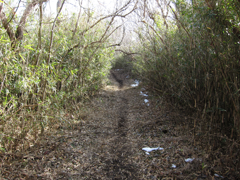 20200122hike (159)